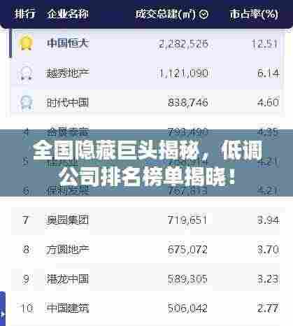 全国隐藏巨头揭秘，低调公司排名榜单揭晓！