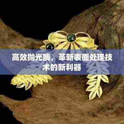 高效抛光酶,革新表面处理技术的新利器