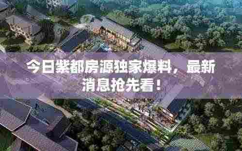 今日紫都房源独家爆料，最新消息抢先看！
