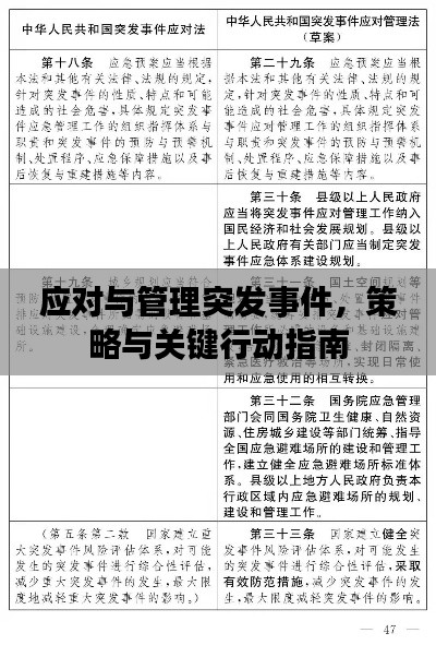 应对与管理突发事件,策略与关键行动指南