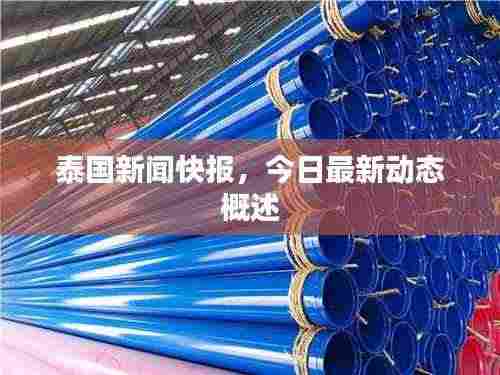 泰国新闻快报，今日最新动态概述