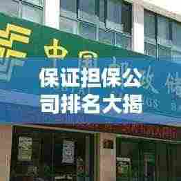 保证担保公司排名大揭秘,影响力与信誉度一览