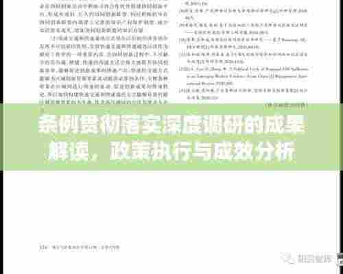 条例贯彻落实深度调研的成果解读，政策执行与成效分析