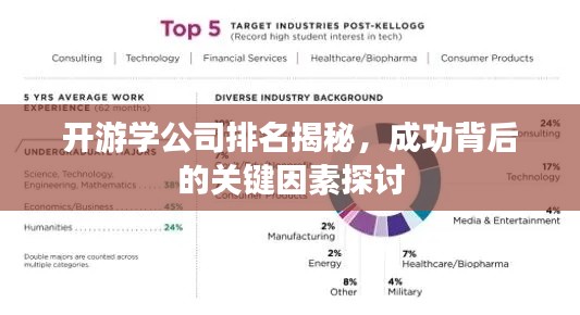 开游学公司排名揭秘,成功背后的关键因素探讨