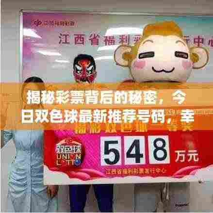 揭秘彩票背后的秘密，今日双色球最新推荐号码，幸运就在今日！