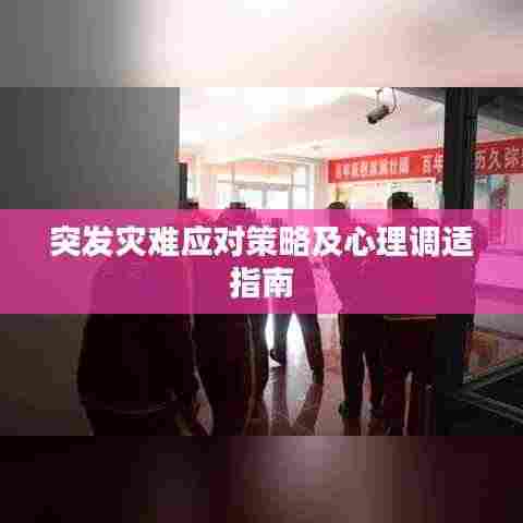 突发灾难应对策略及心理调适指南