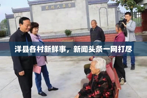 洋县各村新鲜事,新闻头条一网打尽