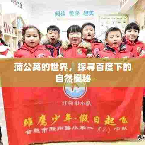 蒲公英的世界,探寻百度下的自然奥秘