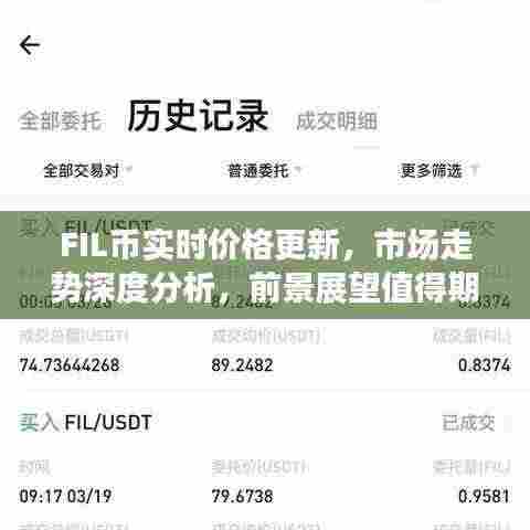 FIL币实时价格更新,市场走势深度分析,前景展望值得期待