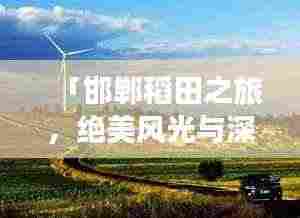 「邯郸稻田之旅,绝美风光与深度体验攻略」