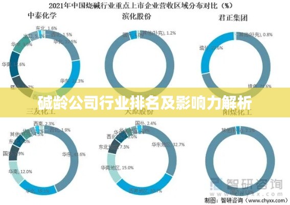 碱龄公司行业排名及影响力解析