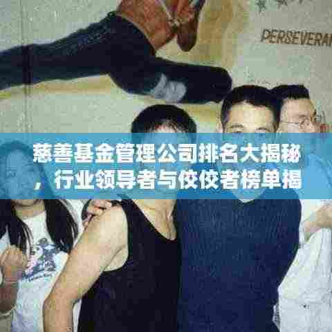 慈善基金管理公司排名大揭秘,行业领导者与佼佼者榜单揭晓!