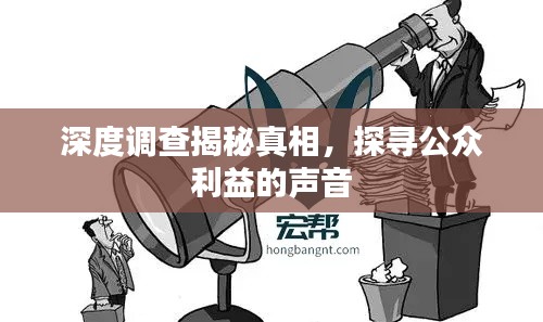 深度调查揭秘真相,探寻公众利益的声音