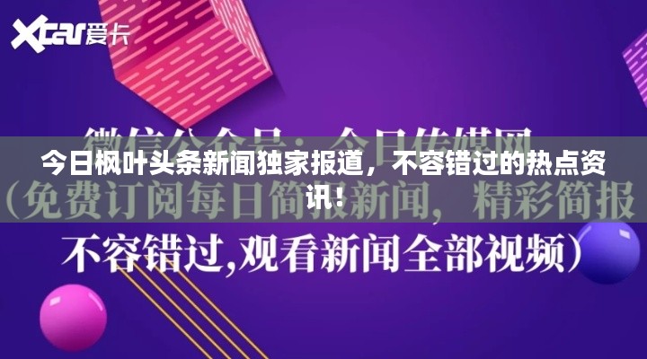 今日枫叶头条新闻独家报道,不容错过的热点资讯!
