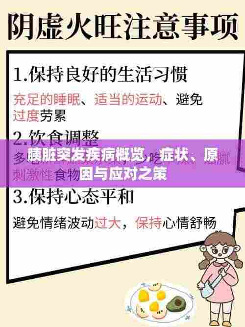 胰脏突发疾病概览，症状、原因与应对之策