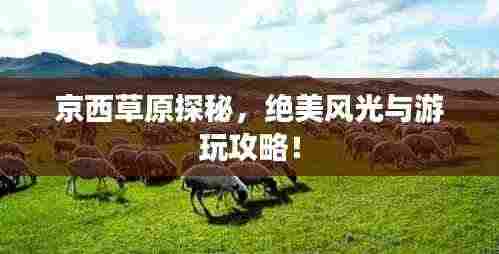 京西草原探秘，绝美风光与游玩攻略！