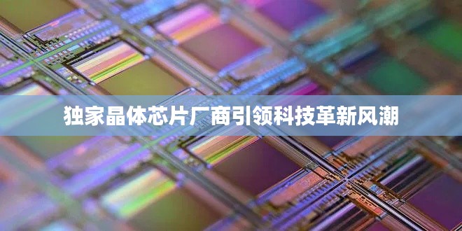 独家晶体芯片厂商引领科技革新风潮