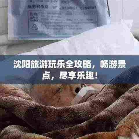 沈阳旅游玩乐全攻略,畅游景点,尽享乐趣!