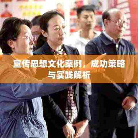 宣传思想文化案例，成功策略与实践解析
