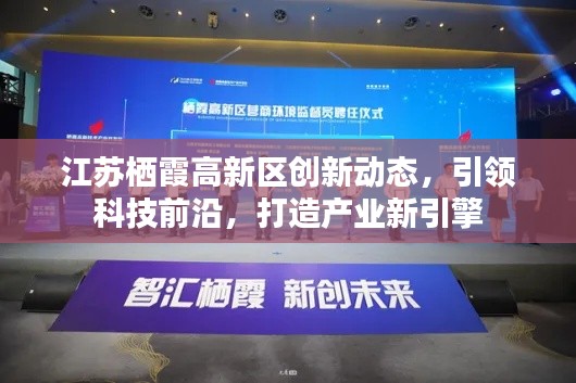 江苏栖霞高新区创新动态,引领科技前沿,打造产业新引擎