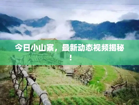 今日小山寨,最新动态视频揭秘!