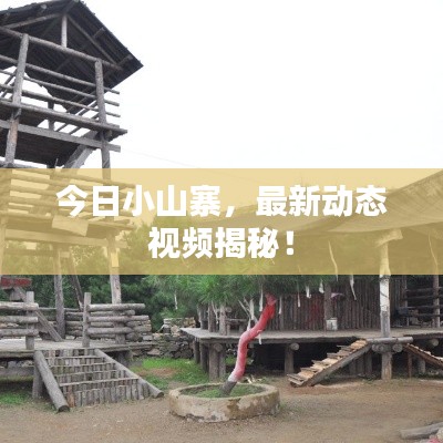 今日小山寨,最新动态视频揭秘!