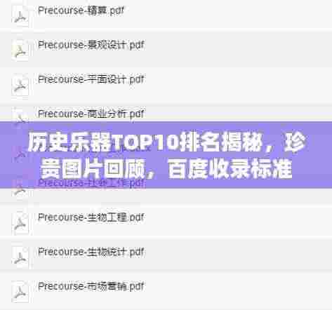历史乐器TOP10排名揭秘,珍贵图片回顾,百度收录标准吸睛标题