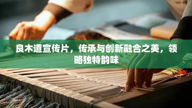 良木道宣传片,传承与创新融合之美,领略独特韵味