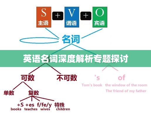 英语名词深度解析专题探讨