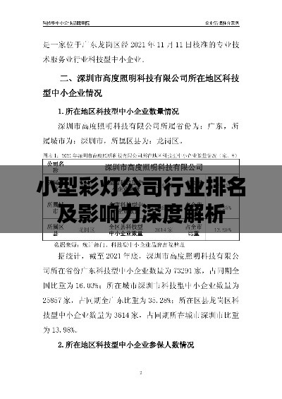 小型彩灯公司行业排名及影响力深度解析