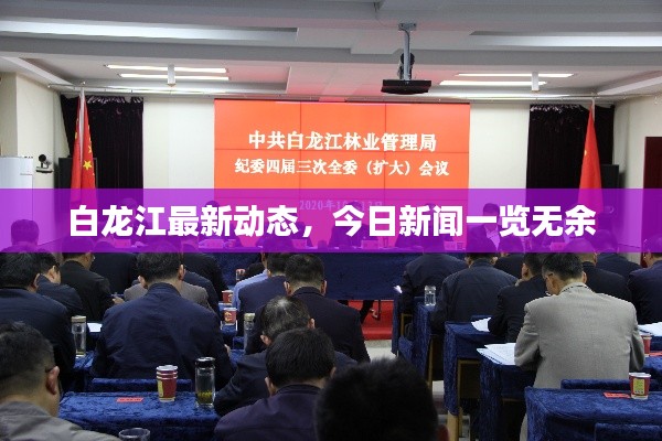 白龙江最新动态,今日新闻一览无余