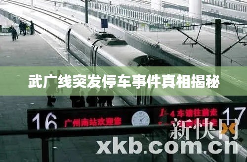武广线突发停车事件真相揭秘