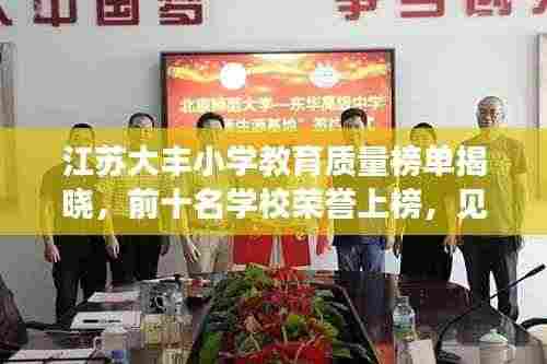 江苏大丰小学教育质量榜单揭晓，前十名学校荣誉上榜，见证教育质量之巅