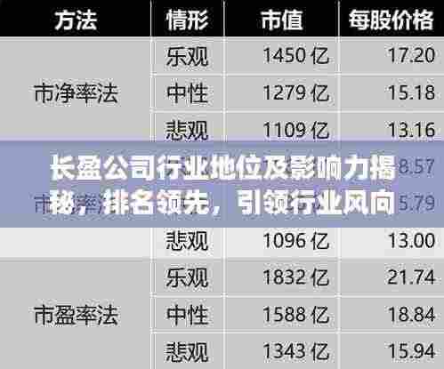 长盈公司行业地位及影响力揭秘,排名领先,引领行业风向标