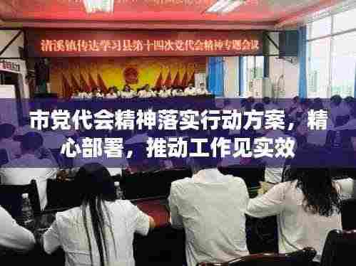 市党代会精神落实行动方案,精心部署,推动工作见实效