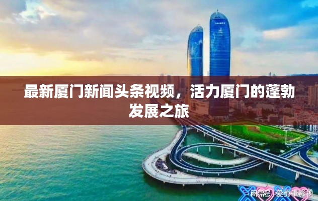 最新厦门新闻头条视频,活力厦门的蓬勃发展之旅