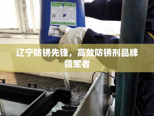 辽宁防锈先锋，高效防锈剂品牌领军者