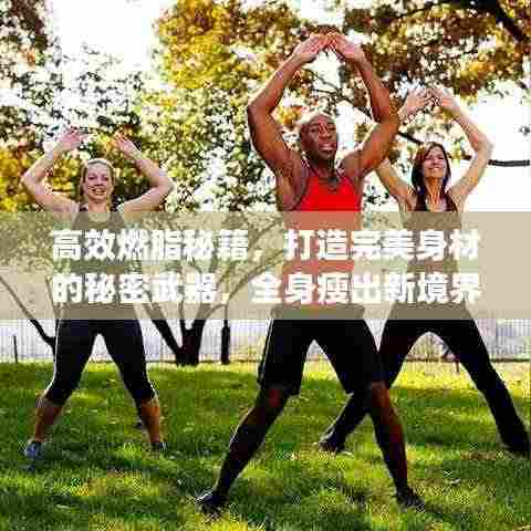 高效燃脂秘籍,打造完美身材的秘密武器,全身瘦出新境界!