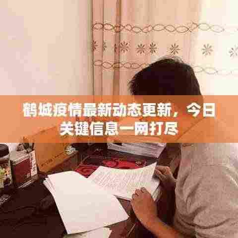 鹤城疫情最新动态更新，今日关键信息一网打尽