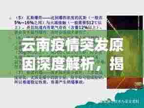 云南疫情突发原因深度解析，揭秘背后的真相