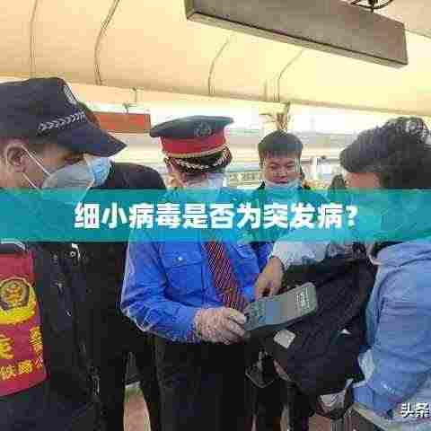 细小病毒是否为突发病?