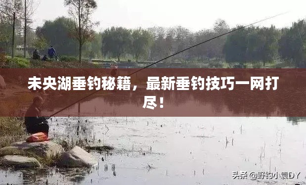 未央湖垂钓秘籍,最新垂钓技巧一网打尽!