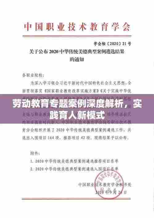 劳动教育专题案例深度解析，实践育人新模式