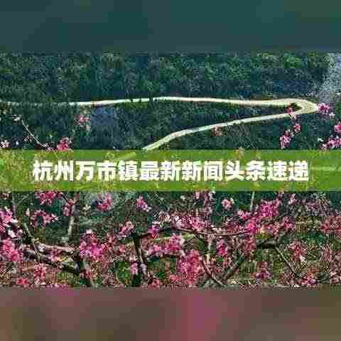 杭州万市镇最新新闻头条速递