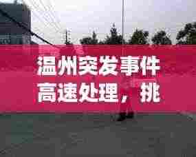温州突发事件高速处理，挑战应对与安全保障