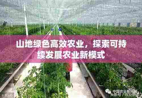 山地绿色高效农业，探索可持续发展农业新模式