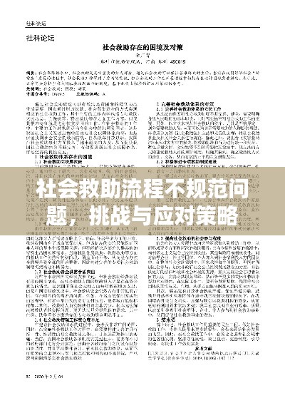 社会救助流程不规范问题,挑战与应对策略