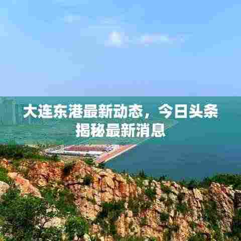 大连东港最新动态,今日头条揭秘最新消息