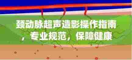 颈动脉超声造影操作指南，专业规范，保障健康