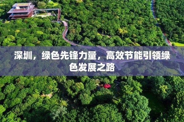 深圳,绿色先锋力量,高效节能引领绿色发展之路